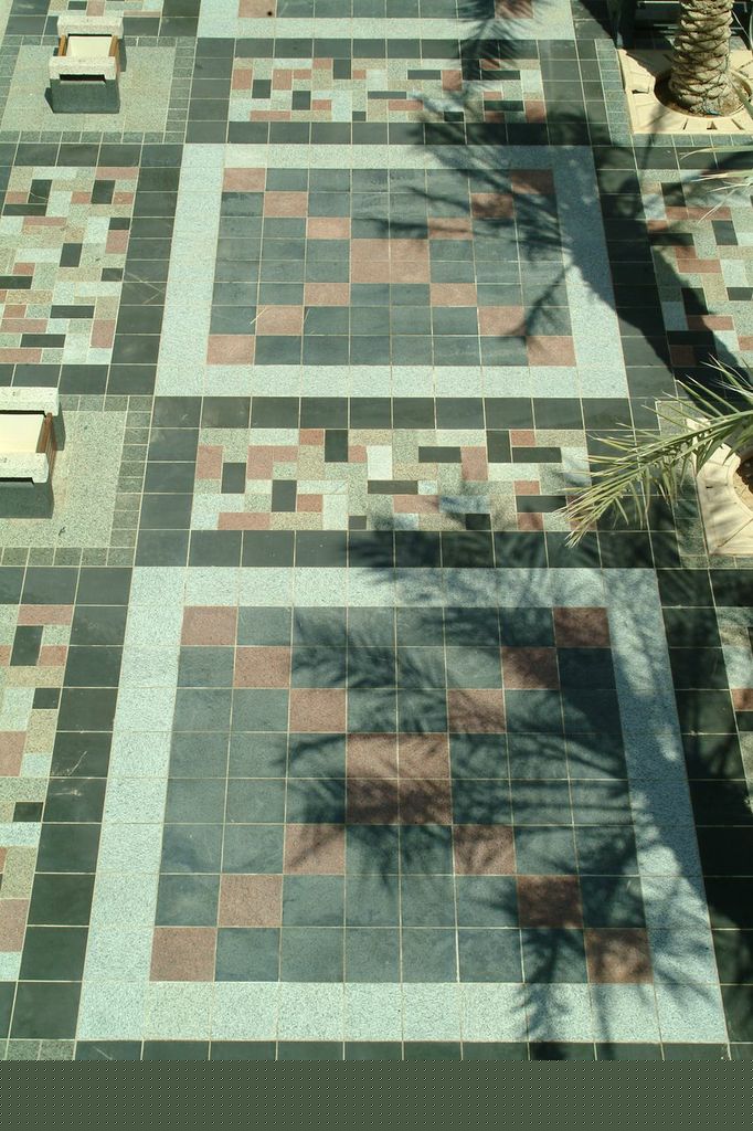 King Faisal University view 4