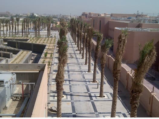 King Faisal University view 7