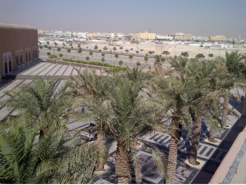 King Faisal University view 9