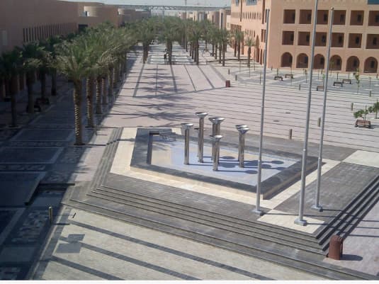 King Faisal University view 12